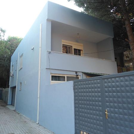 Vacation Home Dibra Velipoje Ngoại thất bức ảnh